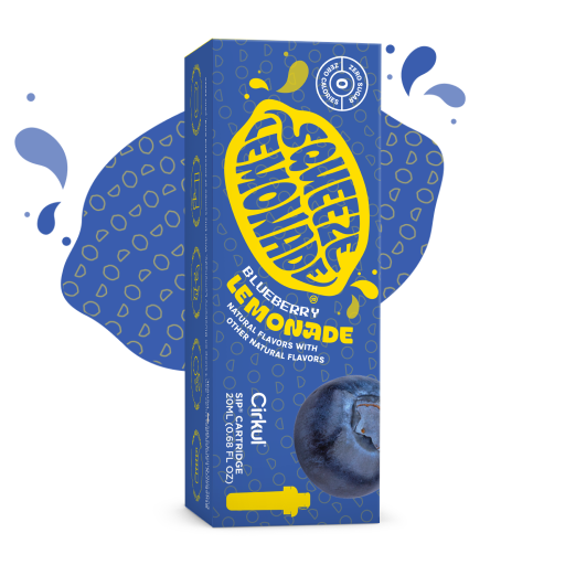 Sip Flavor: Squeeze Blueberry Lemonade